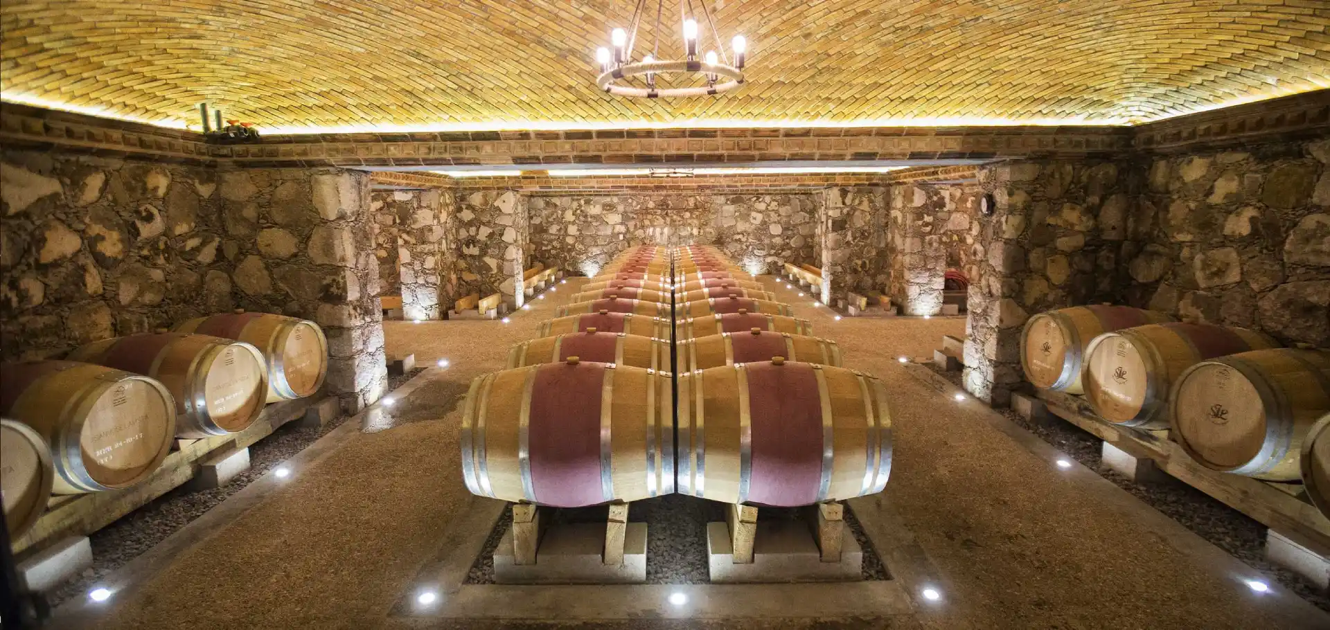 Viñedo Hacienda San José Lavista